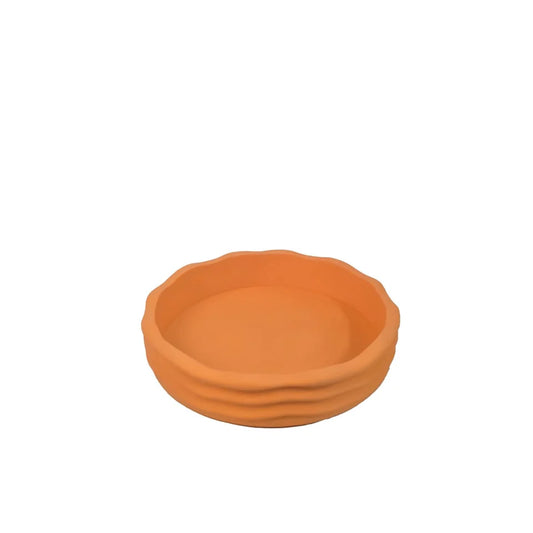 Grenn wave regenboogbakje oranje 1st